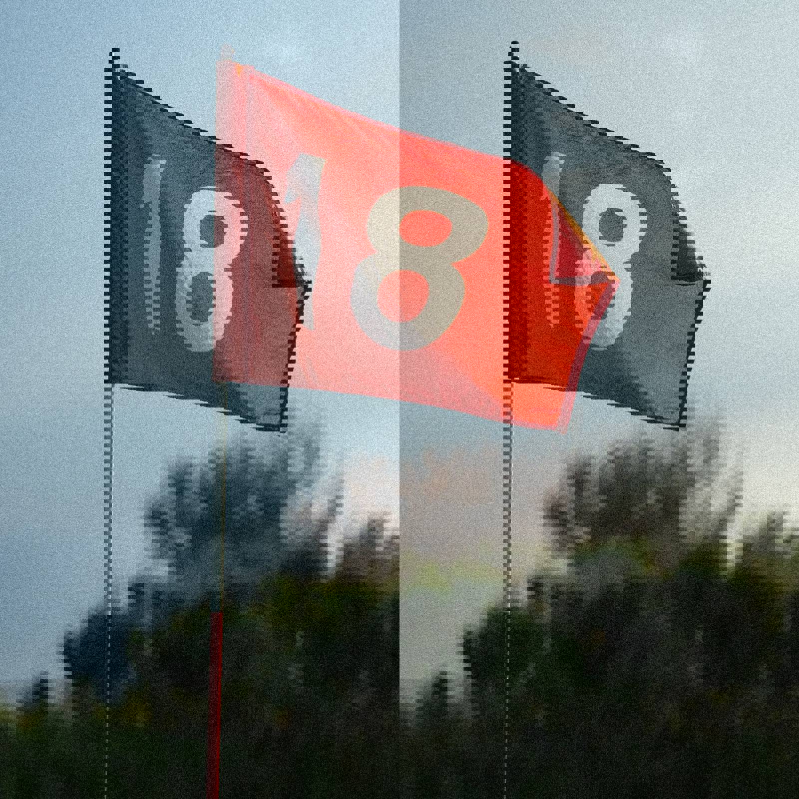 Adrian Hernandez B8jaaneepg8 Unsplash