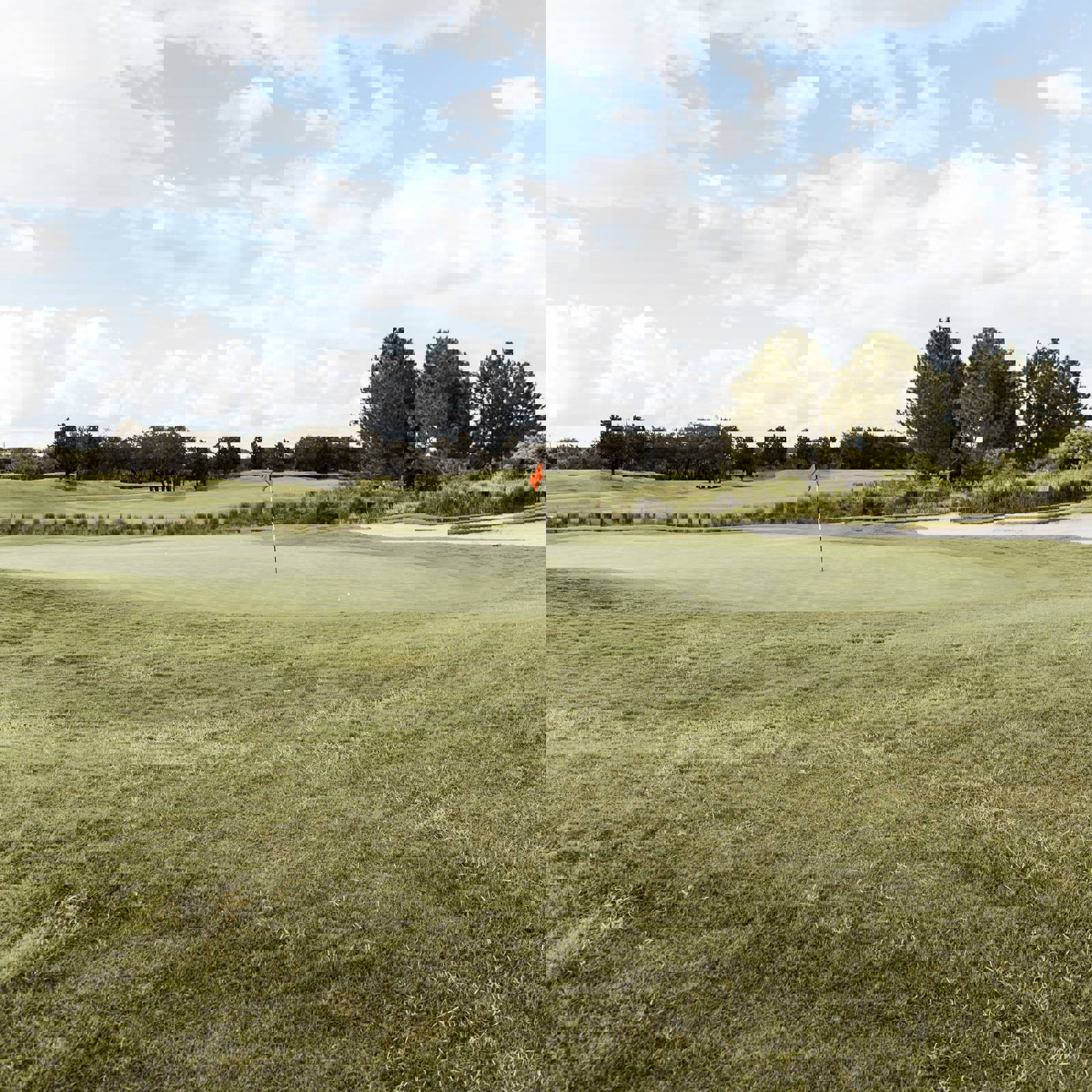 Brandon Williams 5Lo17dtskmg Unsplash